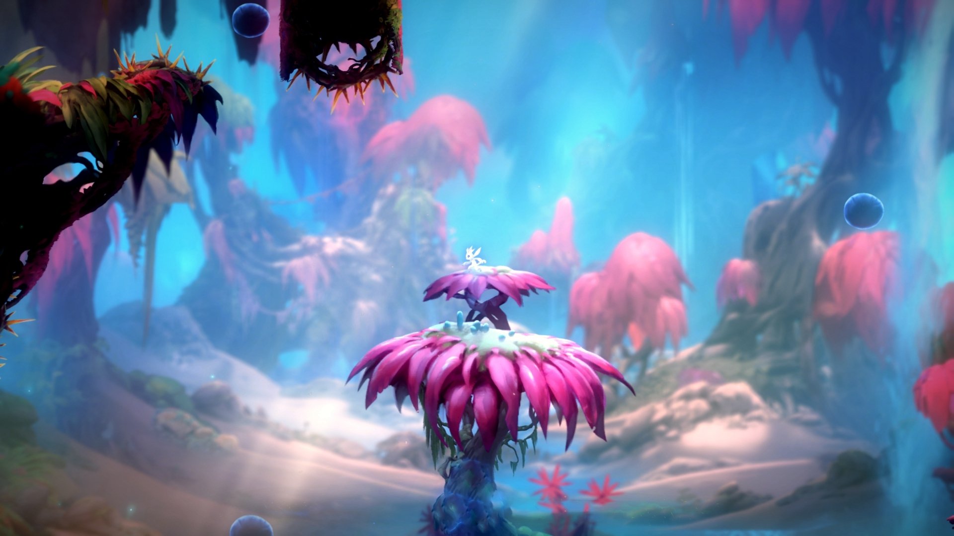 中国女足队长受伤无缘奥预赛,队医组加急评估,中国女足队长出轨