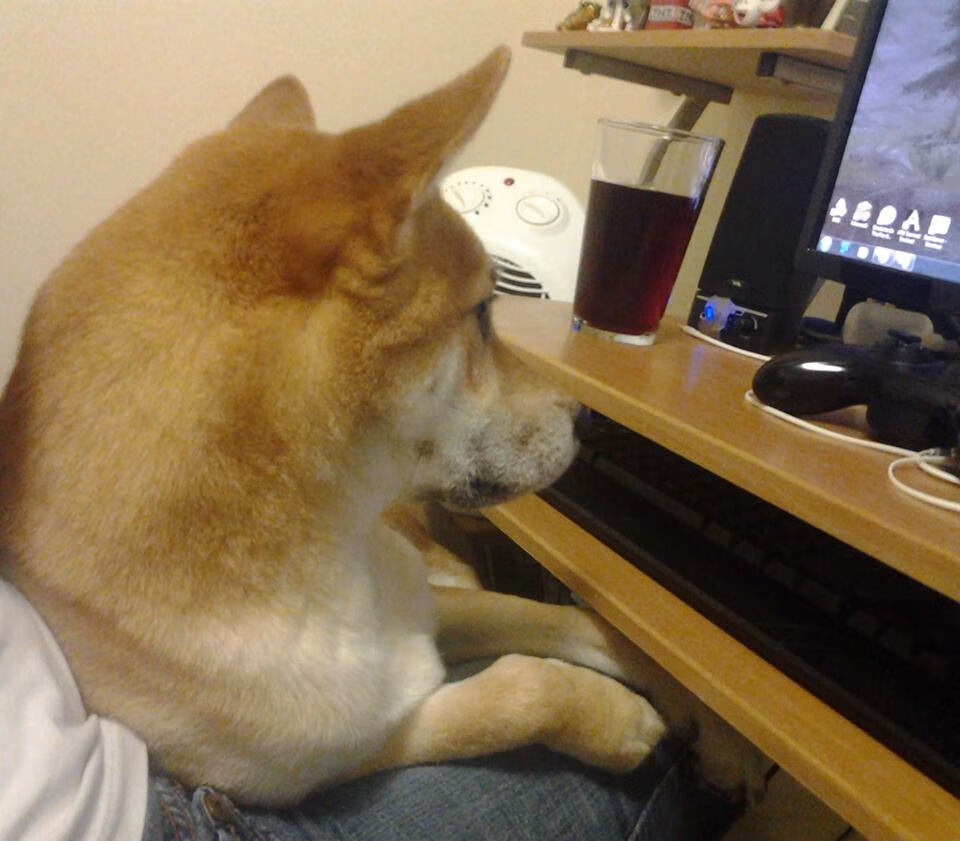 开云kaiyun-国际高空飞盘邀请赛，空中策略的较量，2009年国际飞盘联合协会