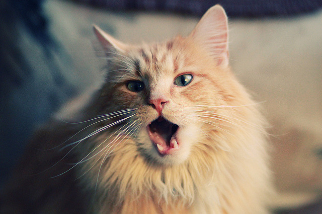 开云官方-特色篮球展演在高校广泛展开，弘扬运动精神与文化自信，学校开展篮球特色课程