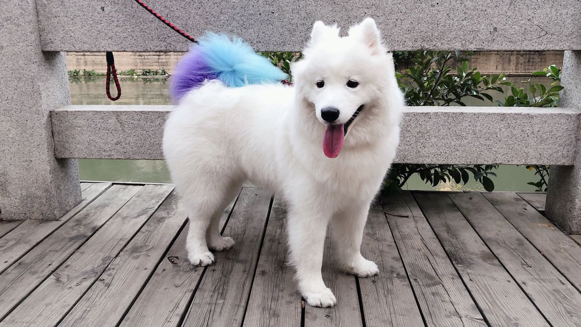 英超胜负,教练点评战术调整,英超21—22赛季各队主教练