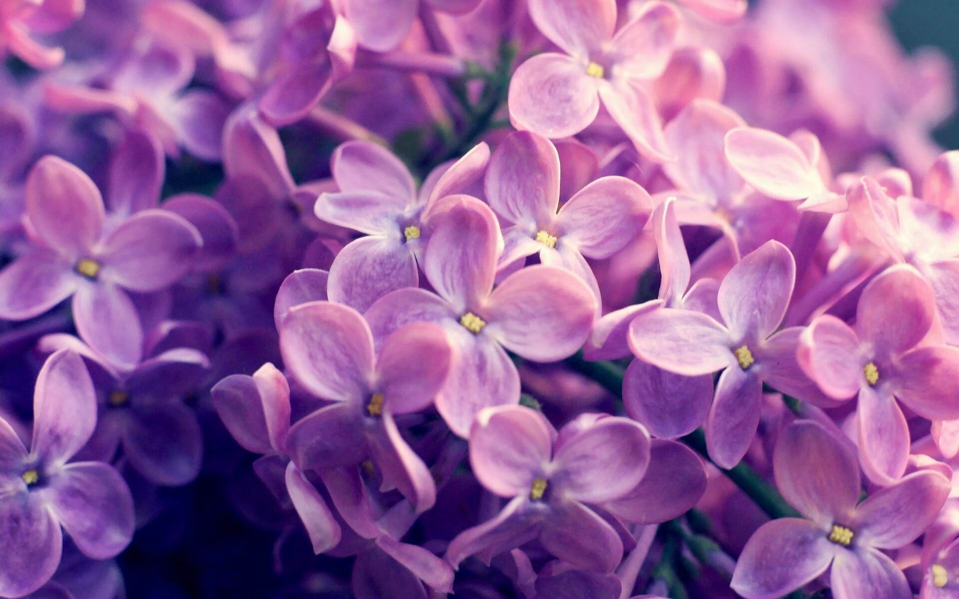 Kaiyun(中国)开云-赛后发布会：法国队长泪洒现场，法国队队长是谁