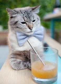 全球篮球传奇：巅峰对决不容错过，nba篮球大师巅峰对决